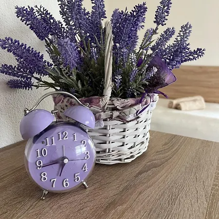 Na Farme U Rudolfa 3* צ'סקה בודיוביצה